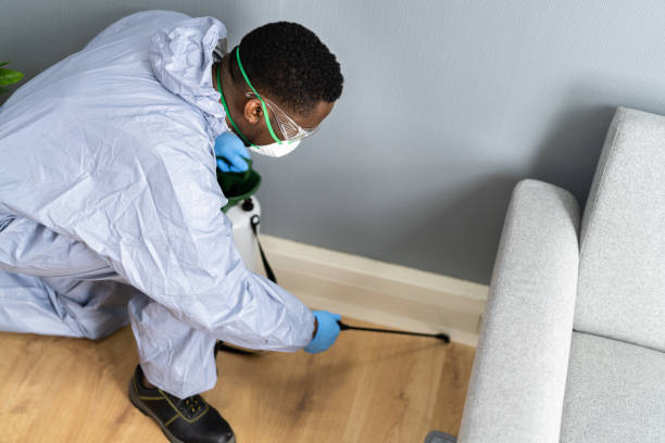 Best Pest Exclusion Services  in Millsboro, DE